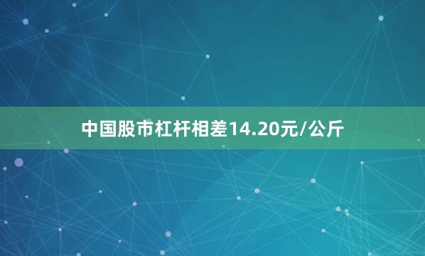 中国股市杠杆相差14.20元/公斤