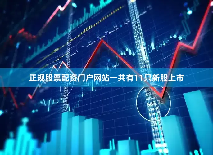 正规股票配资门户网站一共有11只新股上市