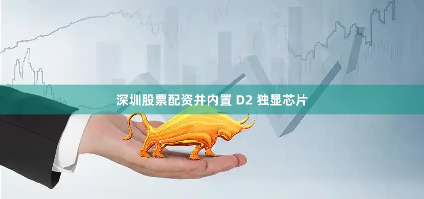 深圳股票配资并内置 D2 独显芯片