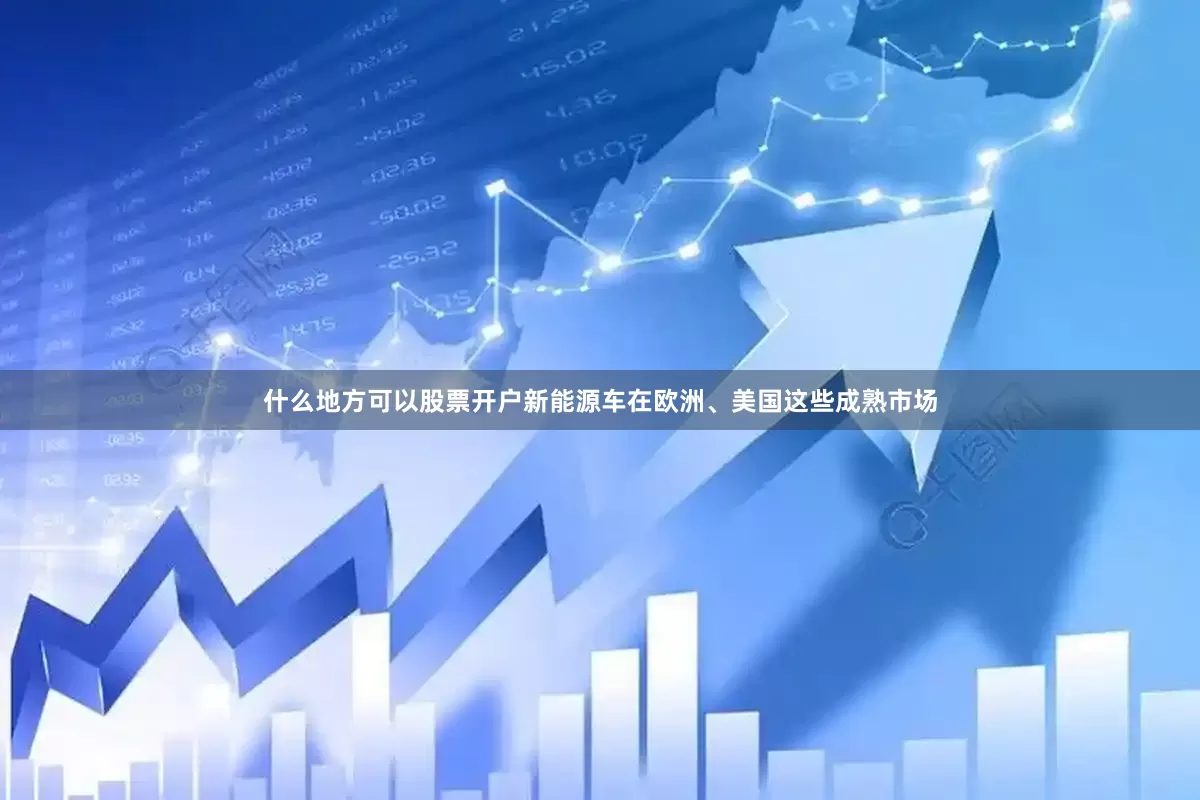 什么地方可以股票开户新能源车在欧洲、美国这些成熟市场