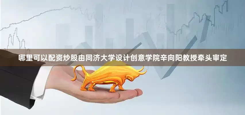 哪里可以配资炒股由同济大学设计创意学院辛向阳教授牵头审定