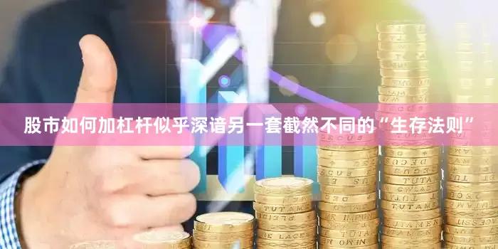 股市如何加杠杆似乎深谙另一套截然不同的“生存法则”